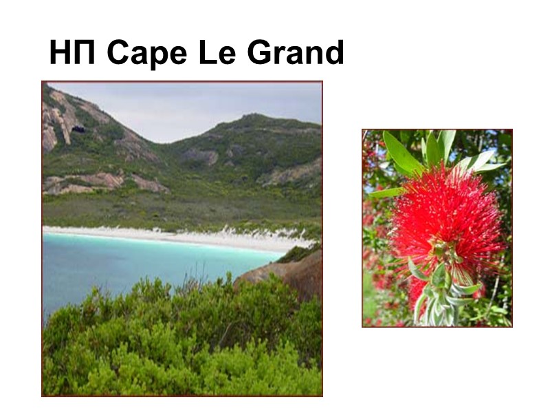НП Cape Le Grand